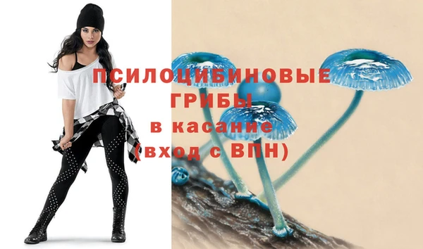 Альфа ПВП Белокуриха
