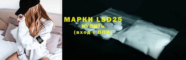индика Белоозёрский